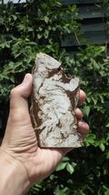 Lemon Chrysophrase Slab - $38.80
