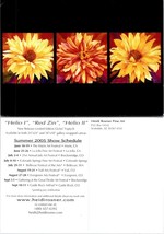 Orange Flowers Pictures Heidi Rosner 2005 Show Schedule VTG Postcard - £7.50 GBP