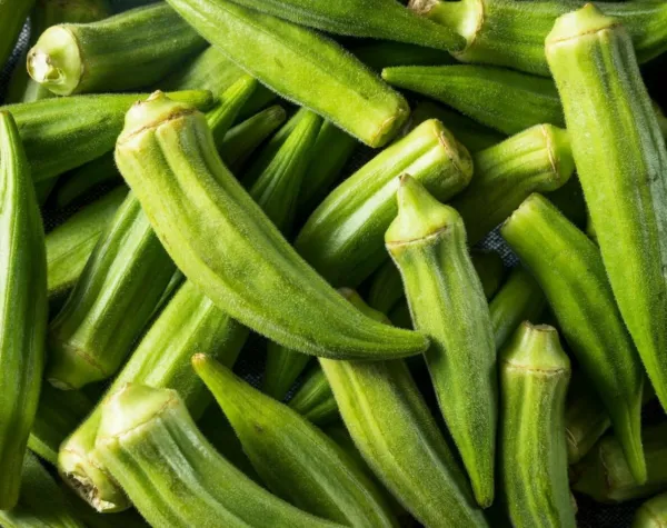New Fresh Clemson Spineless Okra Seeds 50 Summer Vegetable Garden Culinary - £7.11 GBP