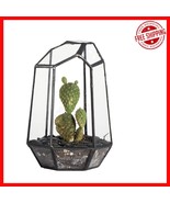 Versatile 4.1&quot; x 3.5&quot; Black Glass Terrarium - Ideal for Air Plants &amp; Can... - €28,22 EUR