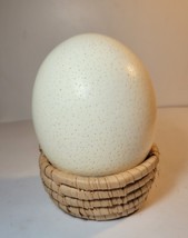 Ostrich Egg Shell Single Hole for Craft Decor  6.25&quot;W 5.125&quot;H ~ Egg and Basket - £19.20 GBP