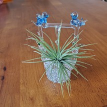 Live Air Plant in Hand Spun Wishing Well Holder, Blue Birds, Airplant Pl... - $16.99