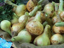 Onion Sweet Spanish Yellow 240 Seeds Buy Us Usa  - $7.99