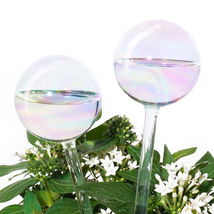 [2 PCS] Light Iridescent Rainbow Gradient Color Clear Glass Self-Waterin... - $17.65