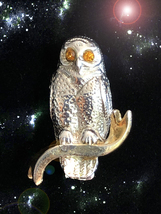 Free With $99 Haunted Antique Owl Pin Sacred Knowledge &amp; Wisdom Extreme Magick - £0.00 GBP