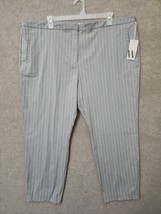 Worthington Slim Leg High Rise Dress Pants Women 24W Gray Striped Stretc... - $22.64