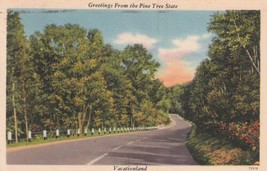 Greetings from Pine Tree State Harrison Maine ME 1955 Postcard B11 - £2.35 GBP
