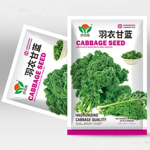 5 Bags (100 Seeds / Bag) of &#39;Blue Ridge&#39; Kale - $190,642.00
