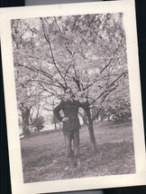 Vintage Cool Service Man Rowland Standing Under Cherry Blossom Tree WWII... - $4.99