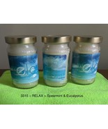 RELAX~ Spearmint & Eucalyptus~Home & Garden Party -  Lot of 3 Jar Candles - NEW - $22.10