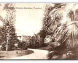 Vista IN Botanico Giardini Trinidad Bwi Unp di Davidson &amp; Todd DB Cartolina - £7.32 GBP