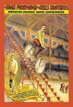 Upon an Ordinary Bicycle A Sheer Descent: Adam Forepaugh and Sells Brothers&#39; Sho - £17.22 GBP+