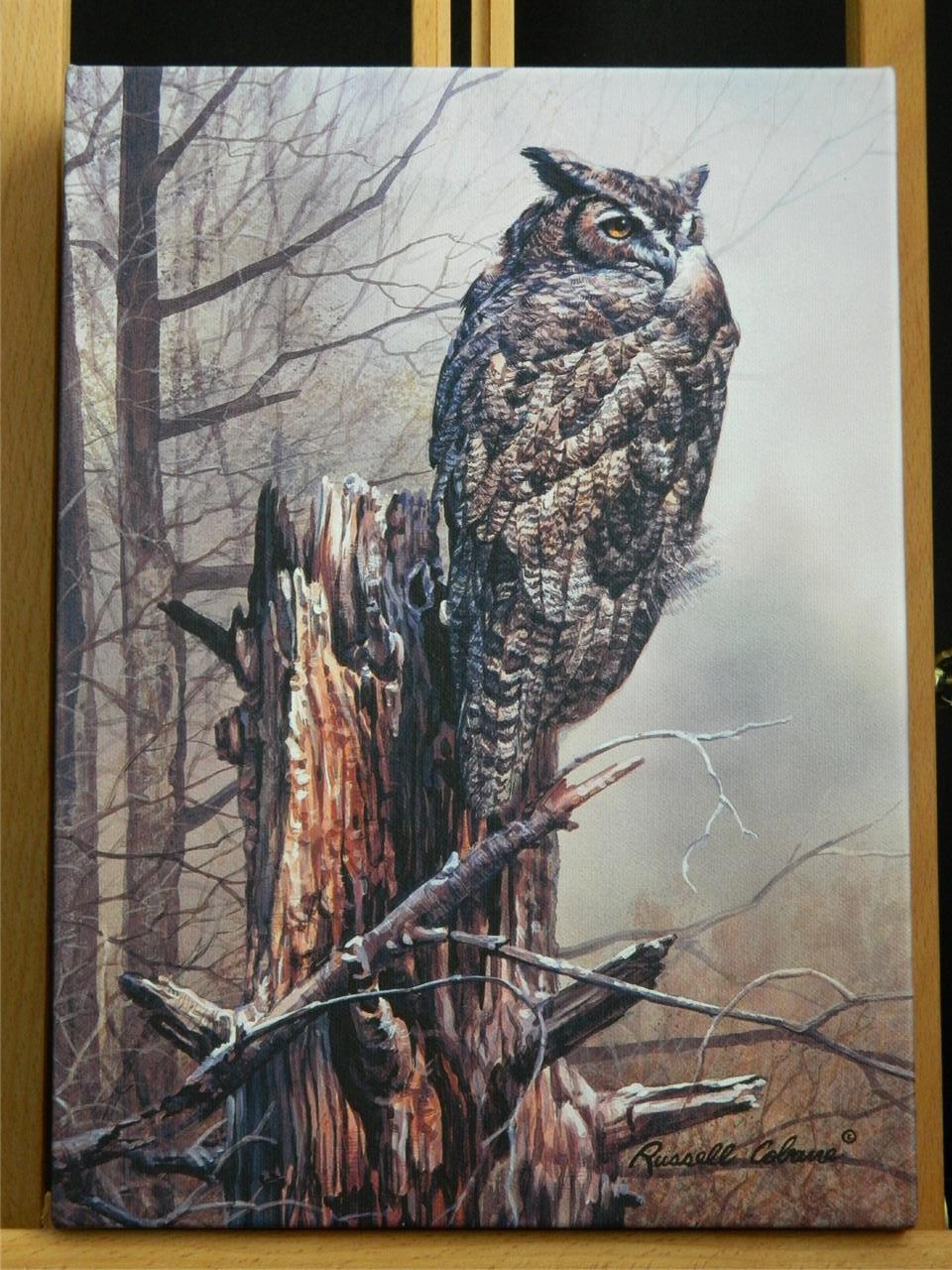Primary image for Great Horned Owl Bird Art Made USA Canvas Giclee Gallery Wrapped Print Cobane