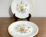 Vintage  Corelle by CORNING &quot;WILDFLOWER&quot; 8.5” Salad Plate Set of 4 - $12.73