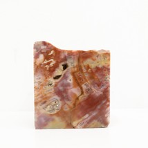 Natural Petrified Wood Chunk Polished for Display 22oz Paper Weight - £15.95 GBP