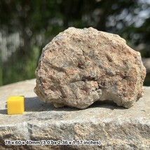 Genuine dinosaur coprolite (fossil poo) - $35.77