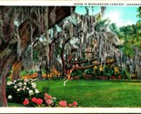 Spansih Moss in Bonaventure CemeterySavannah Georgia GA WB Postcard - $3.91