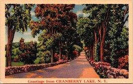 Greetings From Cranberry Lake New York Postcard - $10.00