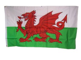 AES 3x5 Wales Welsh Dragon UK 200D Nylon Flag 3&#39;x5&#39; House Banner Grommets House  - £10.15 GBP