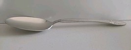 1847 Rogers Bros FIRST LOVE International Silver Plate Solid Serving Spoon - €8,74 EUR