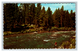 Fly Fishing in Stream Canadian Rockies Postcard Unposted Scalloped Edges - £3.84 GBP