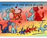 Comic Greetings Cats Variety is the Spice of Life UNP Chrome Postcard R29 - $2.92