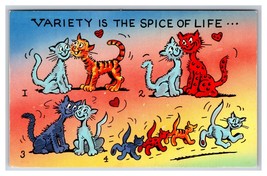 Comic Greetings Cats Variety is the Spice of Life UNP Chrome Postcard R29 - £2.33 GBP