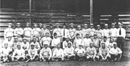 1921 ST. LOUIS CARDINALS 8X10 TEAM PHOTO BASEBALL PICTURE MLB WIDE BORDER - $4.94