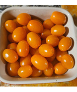 SRN Bahama Bomb Orange Grape Tomato Seeds 30 Organic Garden - €11,03 EUR