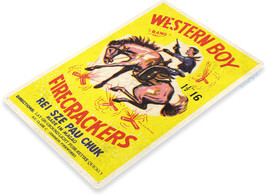 Western Boy Firecracker 4th July Fireworks Retro USA Wall Décor Large Metal Sign - £19.74 GBP