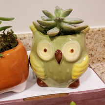 Ceramic Owl Planter, Green Bird Plant Pot, 3" Animal Planter image 7