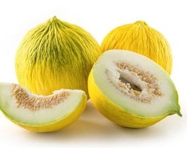 THJAR Casaba Melon Seeds - Organic, Heirloom, Open Pollinated, Non GMO -... - $2.31