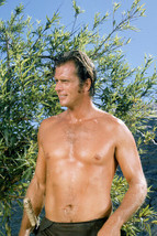 Ron Ely Tarzan 11x17 Mini Poster color barechested - £10.21 GBP