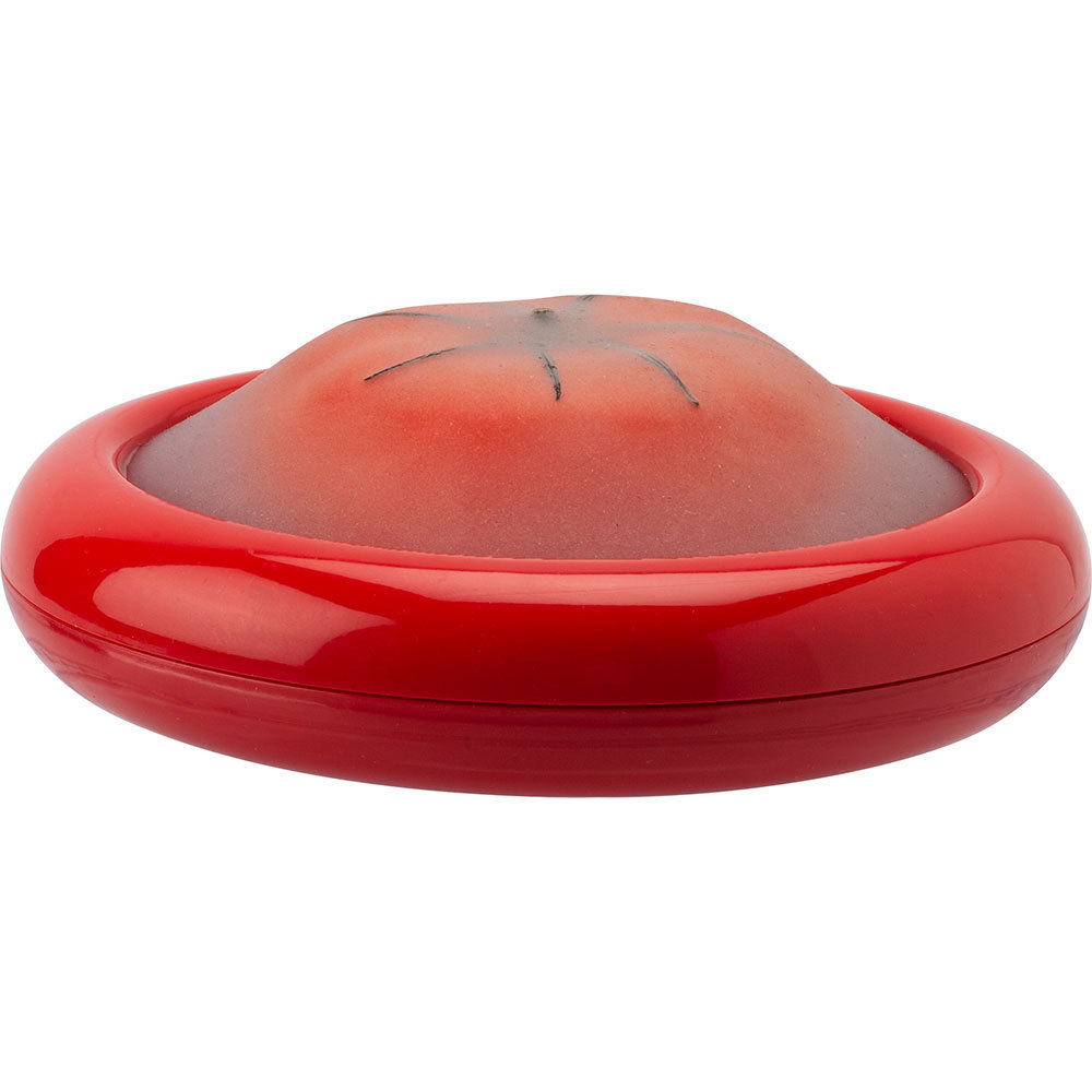 Joie Tomato Stretch Pod (13x13x3cm) - $33.20