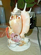 Florida Sea Shell Art Souvenir/Tag Reads...Made In The Philippines/Touri... - £10.45 GBP