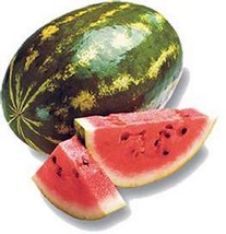 Grow In US 30 Seeds Watermelon Sugar Baby - £6.77 GBP