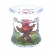 Flameless RED AND GREEN Forever Candle Design With Flickering LED Tea Li... - $24.20