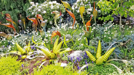 AllenbyArt Glass Garden Beautiful Scenery of Glass Plants Wall Art Posters Decor - £27.97 GBP+