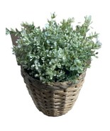 Ikea potted Plant Imitation Plastic with Wicker Pot Plastic Lined 8.5 in... - £9.62 GBP