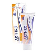 Ice Power Arthro Cooling Cream, 60 g - $24.89