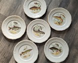 Vintage 1950s Six (6) JKW Rosenthal Gold Rim Fish Plates Selb Bavaria Jo... - £78.28 GBP