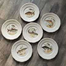 Vintage 1950s Six (6) JKW Rosenthal Gold Rim Fish Plates Selb Bavaria Jo... - $98.99