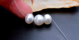 GORGEOUS BUTTONS AA+ AUSTRALIAN SOUTH SEA WHITE  10.8-11.5mm CULTURED PE... - £56.47 GBP