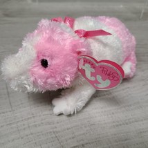 Ty Beanie Baby ROSA Guinea Pig Pinkys Collection 2004 NWT Stuffed Animal Toy - £7.50 GBP