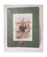 ISRAEL GOLDEN GATE JERUSALEM Fine Art Photography hand tinted 1/100 Prin... - $17.10