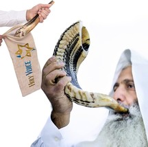 Handmade Kosher Ram Shofar From Israel - 12&quot;-14&quot; Musical Horn, Half Poli... - £34.73 GBP