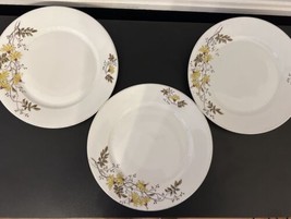 Antique Karlsbad Austria Plates White Yellow Flowers 9.5 Inches Set Of 3 - £28.76 GBP