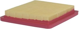 Southland Outdoor Power Equipment A201700P Air Filter For Walk Behind Lawn - $36.96