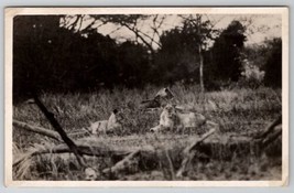 Lion Lioness Resting in Field RPPC Postcard A26 - $8.95