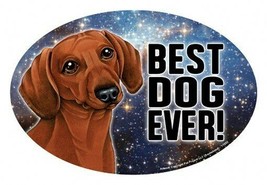 Dachshund Red BEST DOG EVER! Oval 4&quot;x6&quot; Fridge Car Magnet Large Size USA... - $5.89